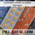 Comment Utiliser La Gelée Kamagra 43